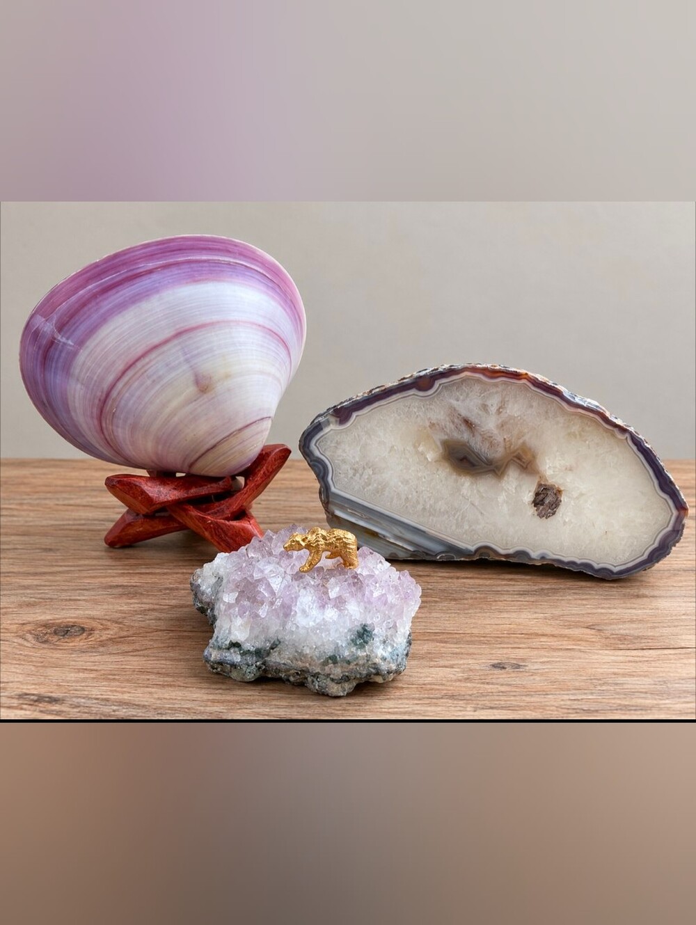 Pretty in Purple | Natural Decor | Agate | Amethyst | Polished SeaShell
